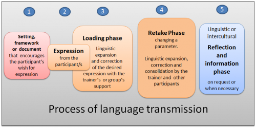 Process of language transmi
